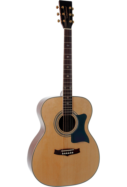 Tanglewood TW170-AS